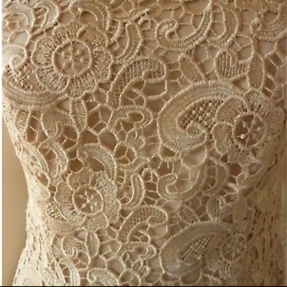 AIDAN MATTOX Champagne Lace Dress Open Back - Picture 6 of 7